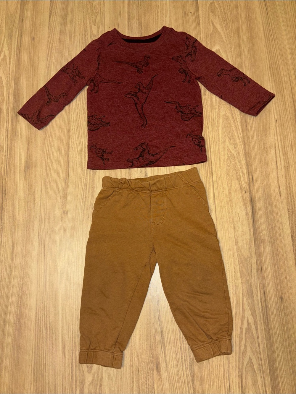 Cat & Jack dino shirt + Carter’s joggers outfit 12M